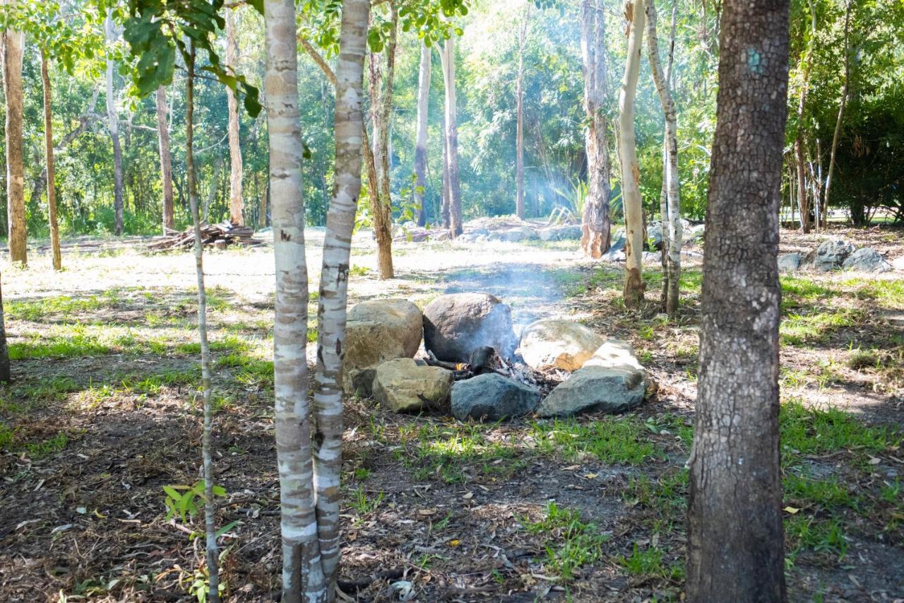 艾尔利海滩生态山林小屋 埃尔利海滩 外观 照片